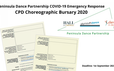 Peninsula Dance Partnership Choreographic Bursary 2020